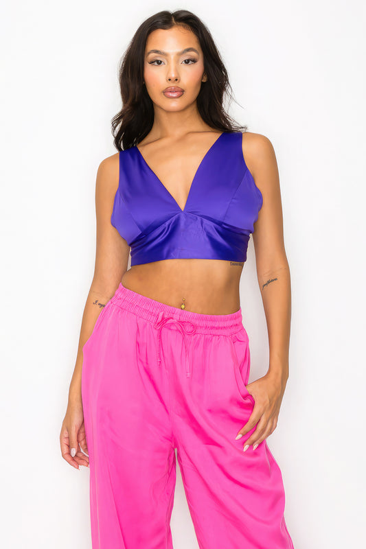 Purple V-Neck Satin Crop Top – Bold and Stylish Statement - Shopping Therapy, LLC Crop tops