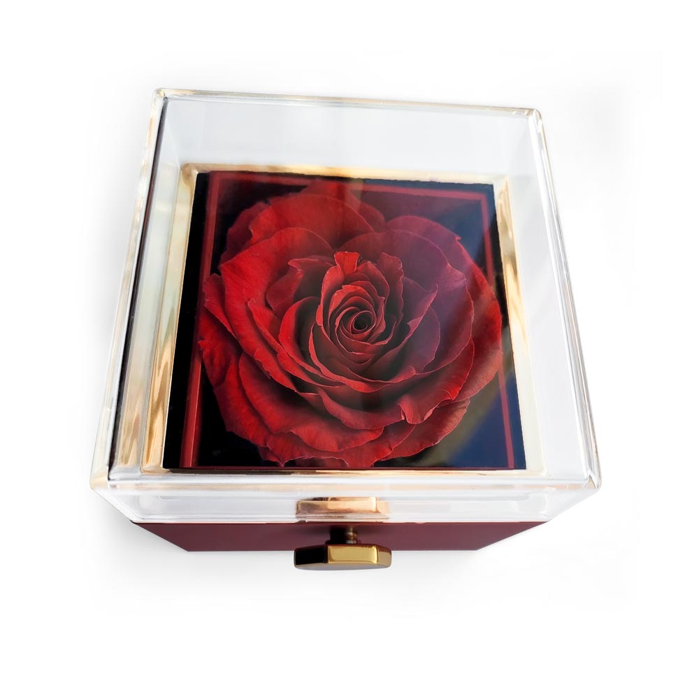 Love Knot Necklace with Eternal Rose – Sentimental Gift for Mom