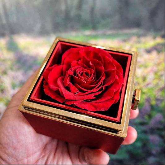 A Rose For Your Beauty-Love Knot Necklace Gift For Her - Shopping Therapy, LLC Jewelry