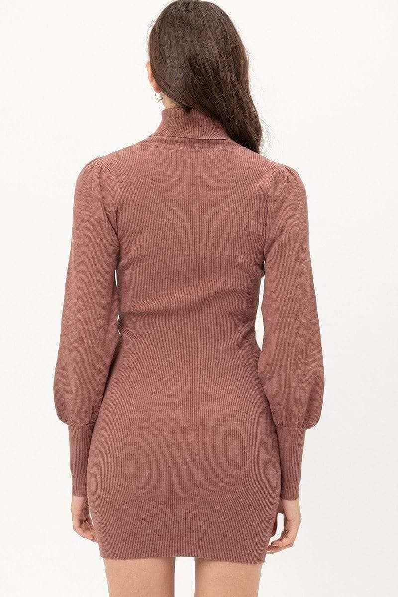 Brown Long Sleeve Turtleneck Mini Sweater Dress